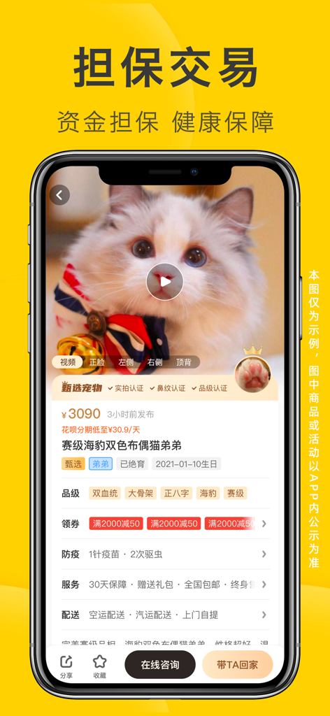 Mobile app screenshot showing a Ragdoll cat for sale with secure escrow payment details.