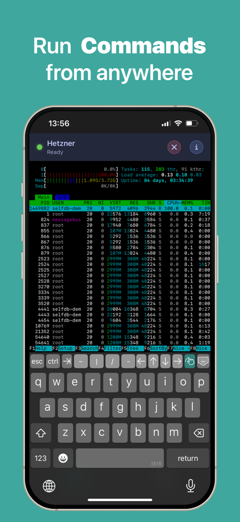 Anubis - SSH Terminal - Anubis SSH terminal interface on iPhone showing system monitoring via htop