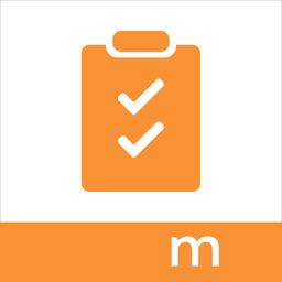 mPS Master Audit - Productivity App | MWM