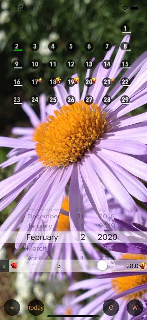 Only For Women - Calendar W - Interfaz de la aplicación Solo para Mujeres Calendario W que muestra un calendario de seguimiento de período con íconos de flores sobre un fondo de aster morado