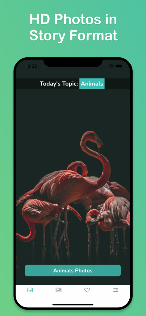 動物カテゴリの下にあるフラミンゴのピンクの壁紙がストーリー形式で表示されているスマートフォン画面