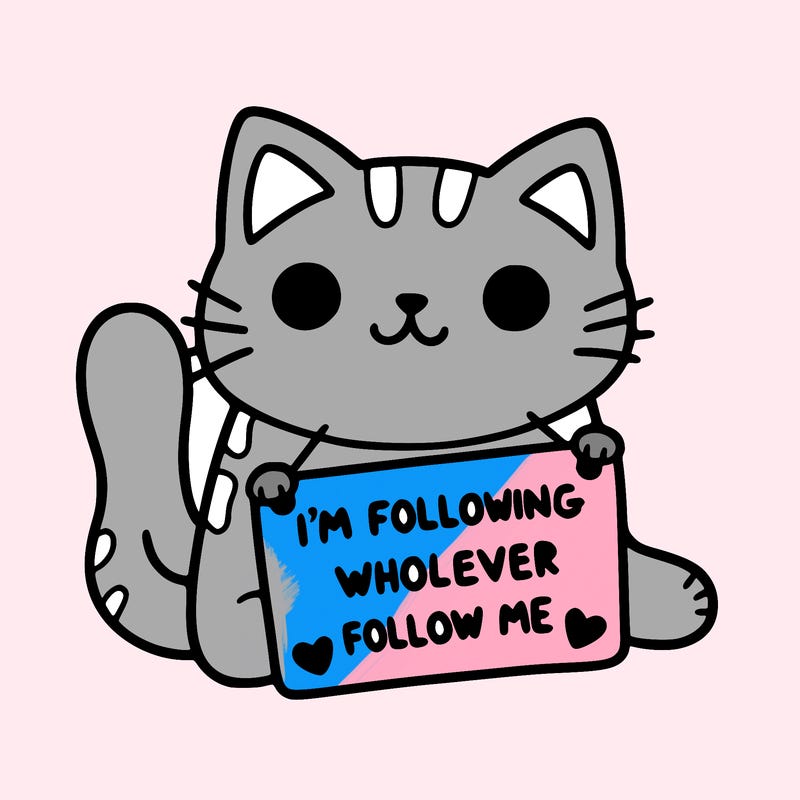 cat with a sign that says i’m following whoever follows me