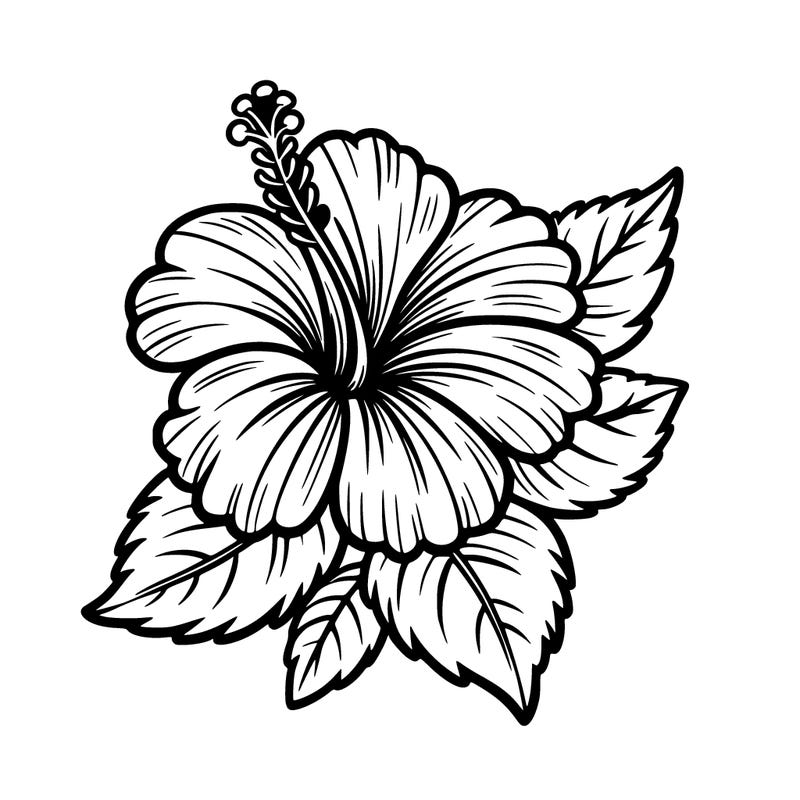 hibiscus flower