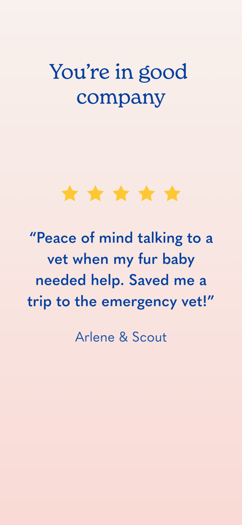 Five star review for Airvet pet telehealth app from a satisfied pet parent