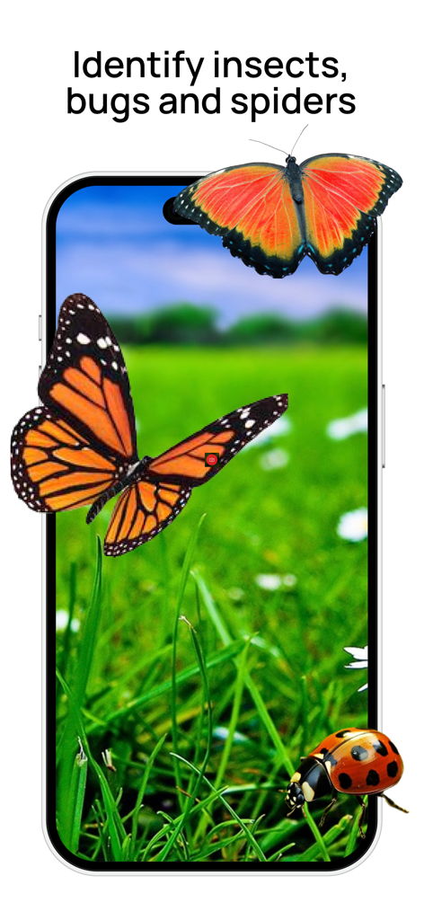 Insect Identifier: Bug Scanner - Pantalla de smartphone que muestra la aplicación identificadora de insectos con mariposas y una mariquita