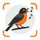 Bird Identifier: Sound & ID