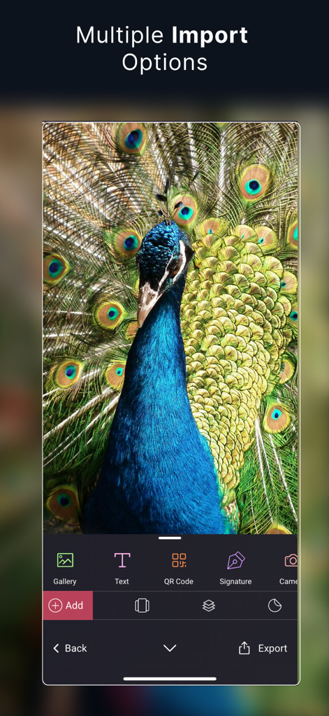 eZy Watermark app interface showing multiple import options and photo editing tools