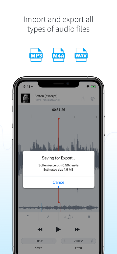 Interface showing the export of an audio file in the AudioStretch app with support for MP3 M4A and WAV formats
