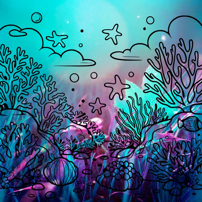 coral reefs