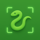 Snake Identifier - Snapey