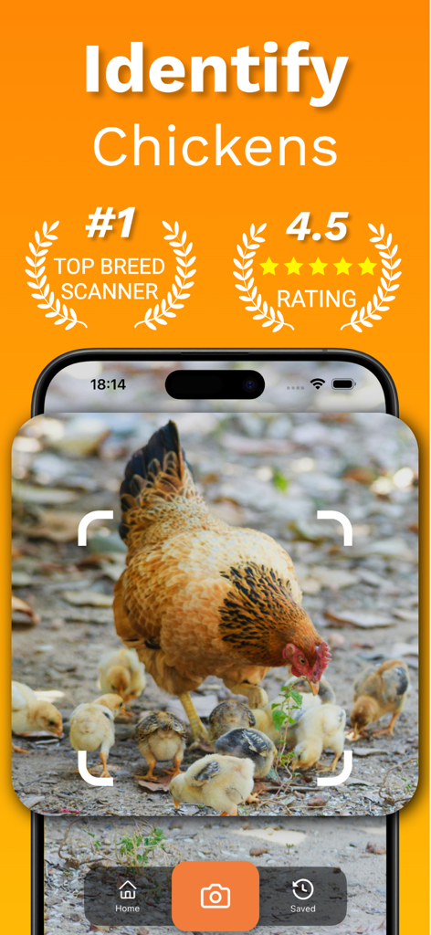 Chicken Identifier – RoostScan - Pantalla de un smartphone mostrando la aplicación RoostScan identificando una gallina y polluelos