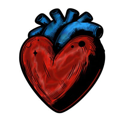 realistic heart