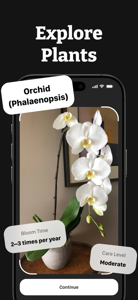 AI Lens Scanner - Image Search - AI Lens Scanner app identifying a white orchid and displaying bloom time and care level information