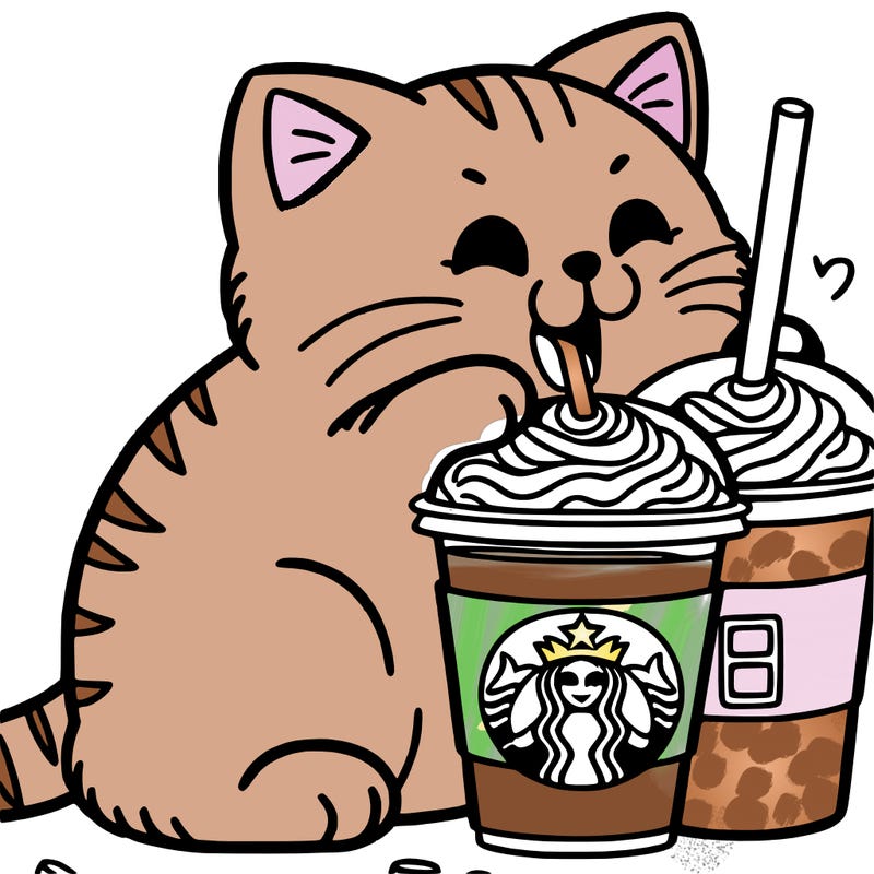cat eating a starbucks