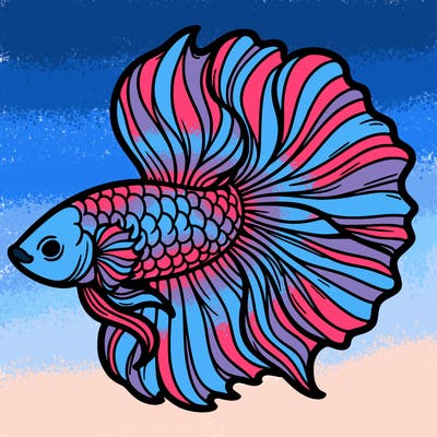betta fish