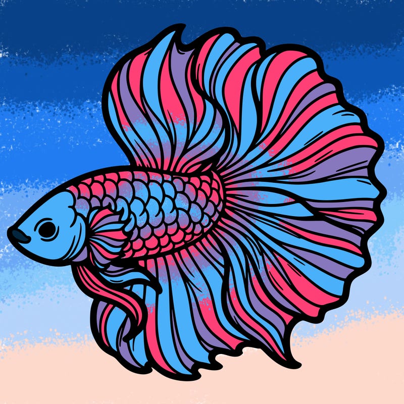 betta fish