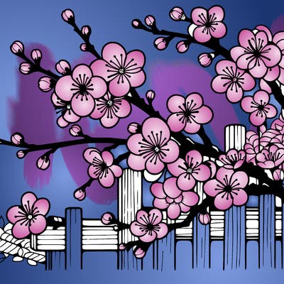 japan cherry blossom