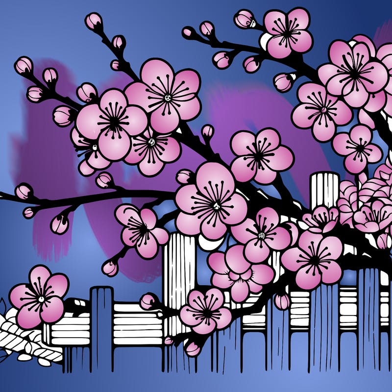 japan cherry blossom