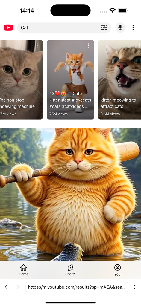 Interfaz de la aplicación GreenTuber mostrando resultados de búsqueda de YouTube de vídeos de gatos.