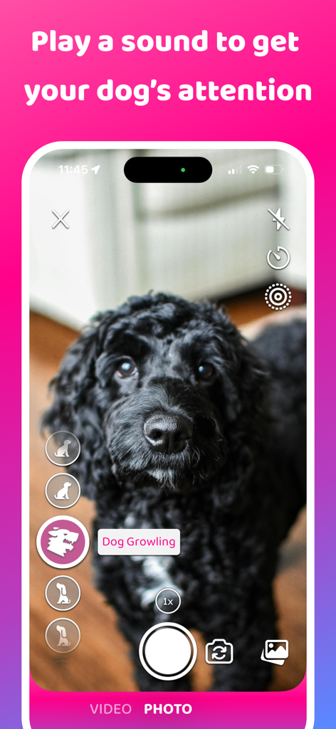 Dog & Pet Translator: DogCam - DogCam App-Oberfläche, die einen schwarzen Hund zeigt, der mit einem aktivierten Hundegebell-Geräusch in die Kamera schaut