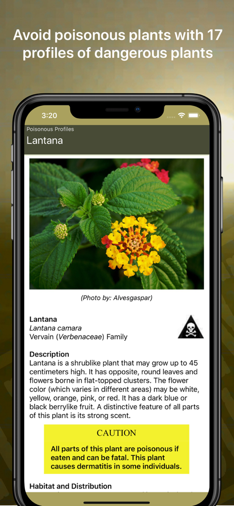 Wild Plant Survival Guide - Capture d'écran de l'application Guide de survie des plantes sauvages montrant un profil détaillé de la plante toxique Lantana avec un avertissement.