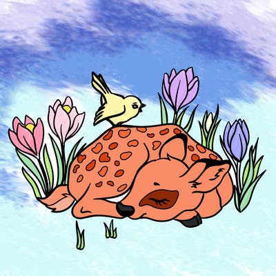 animals_61