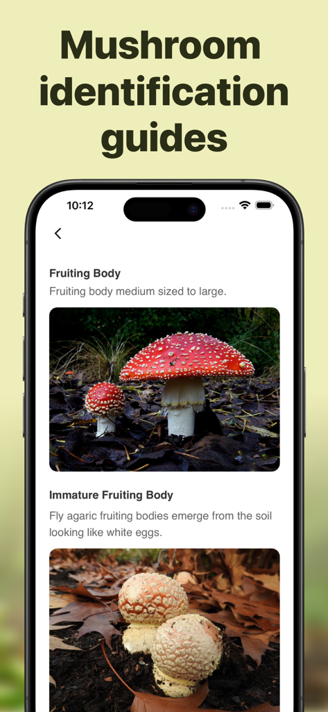 Picture Mushroom: Identifier - ベニテングタケ種のマッシュルーム識別ガイドを表示するスマートフォンの画面