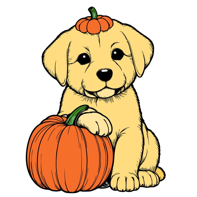 a realistic puppywith a pumpkin on his head
