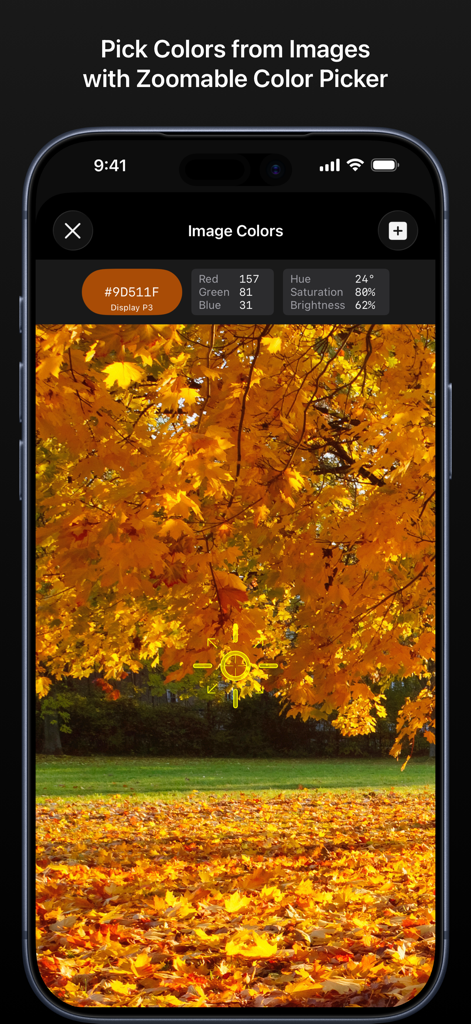 Colorlogix - Color Design Tool - Interfaz de Colorlogix mostrando la selección de un color de una imagen de hojas de otoño