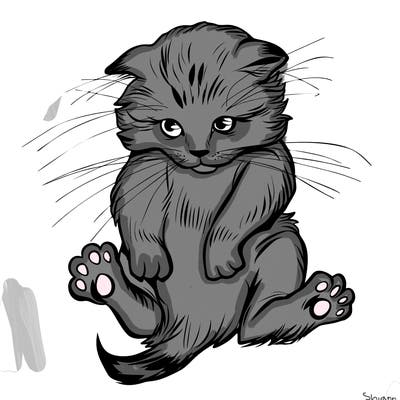 animals_20