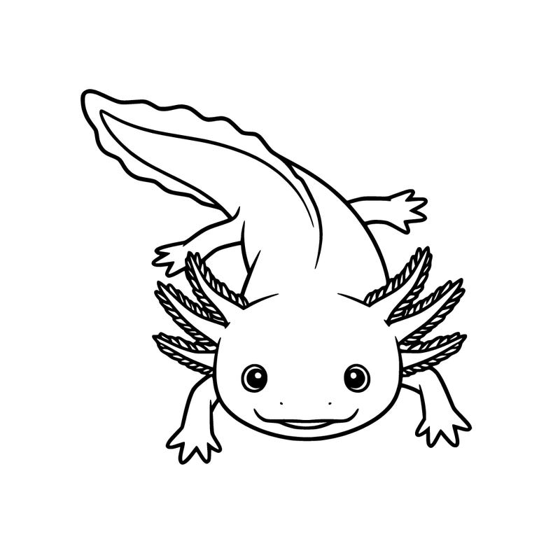 axolotl