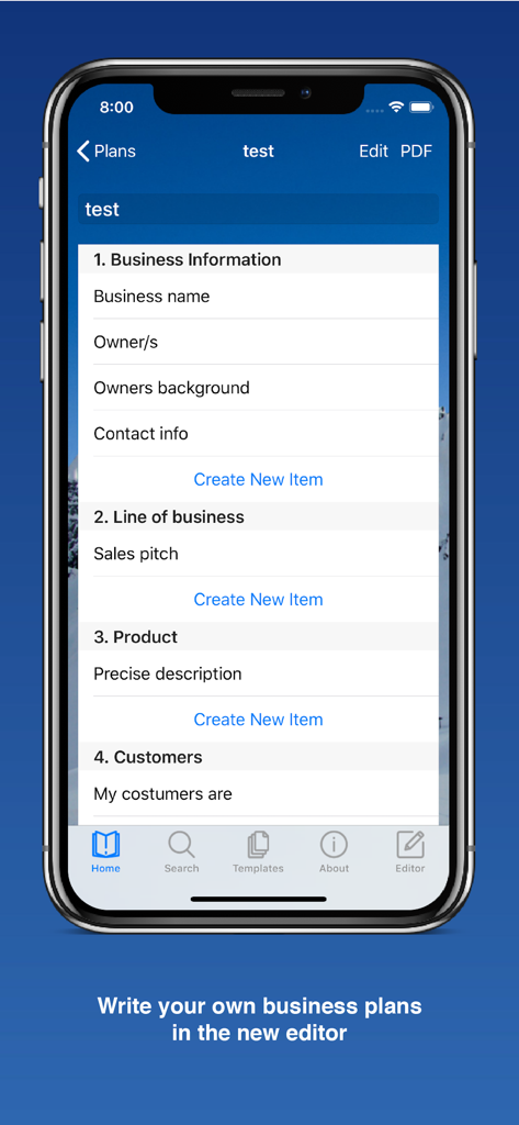 Oberfläche des Businessplan-Editors mit Abschnitten für Geschäftsinformationen und Verkaufsgespräch