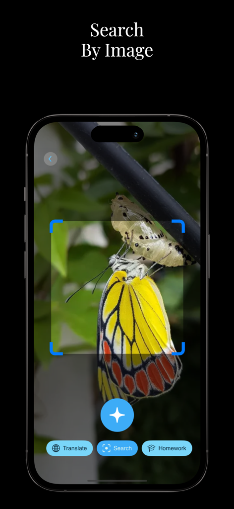 Identify Anything Lens.AI Scan - Un papillon jaune en cours de scan pour identification à l'aide de la fonction de recherche d'image de Lens AI