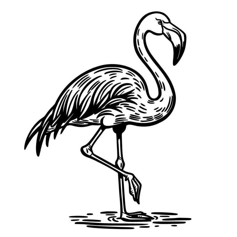 flamingo