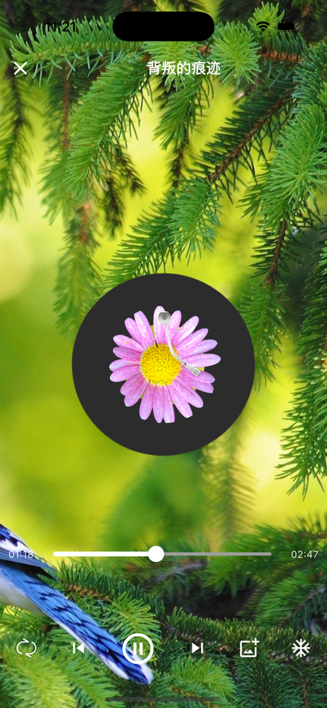 Interfaz del reproductor de música para la aplicación Selected Mandarin Songs con un fondo temático de la naturaleza y una flor rosa como disco de vinilo.