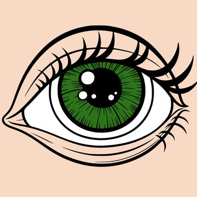 eye