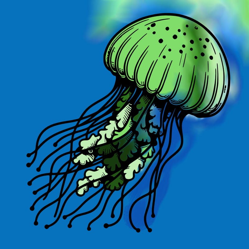 realistic jellyfish