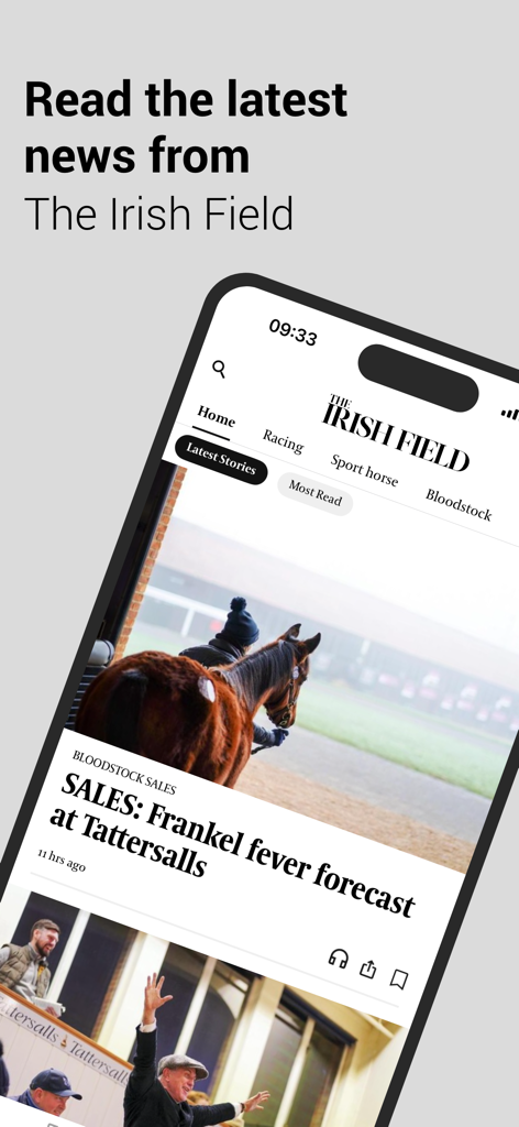 Uma tela de celular mostrando o feed de notícias do aplicativo The Irish Field Live com artigos sobre corridas de cavalos e vendas de cavalos de raça pura