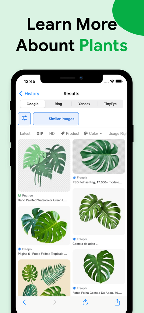 Lens: Reverse Image Search AI - Lens app display of reverse image search results for plant identification