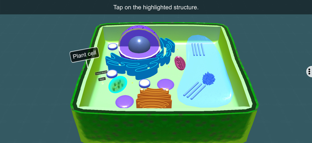 Modelo 3D de célula vegetal mostrando rótulos de dióxido de carbono e água