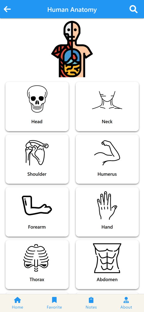 Menü zur Auswahl der menschlichen Anatomie in der orthopädischen App mit Kategorien wie Kopf, Nacken, Schulter, Humerus und Unterarm