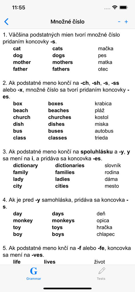Screenshot of a grammar lesson explaining English plural noun rules in Slovak.