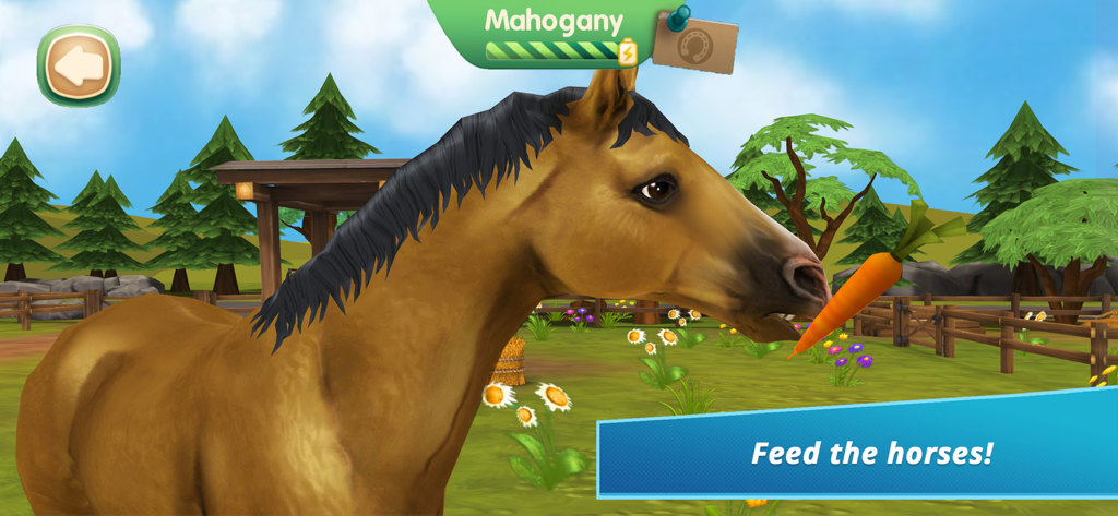 緑の牧草地でニンジンを与えられているマホガニーという名前の茶色の馬