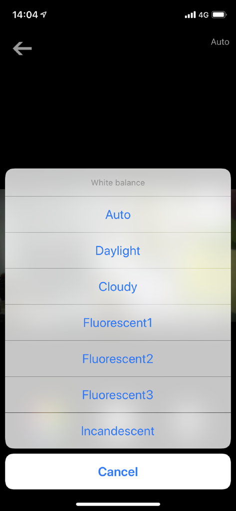 Live DV - White balance settings menu for action camera in Live DV app