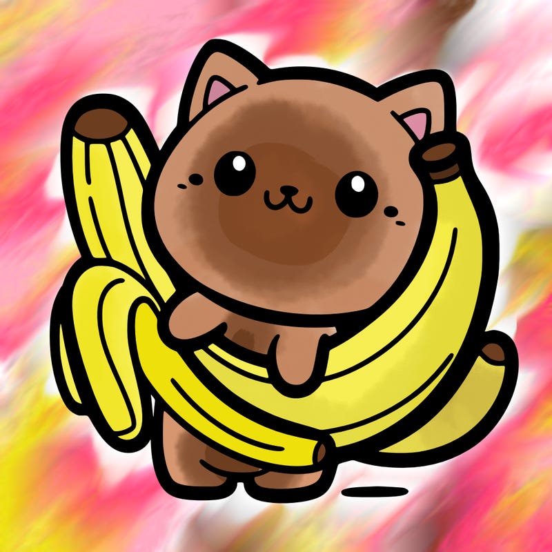 cat wearing banane