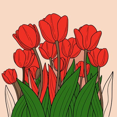 easy tulips flower