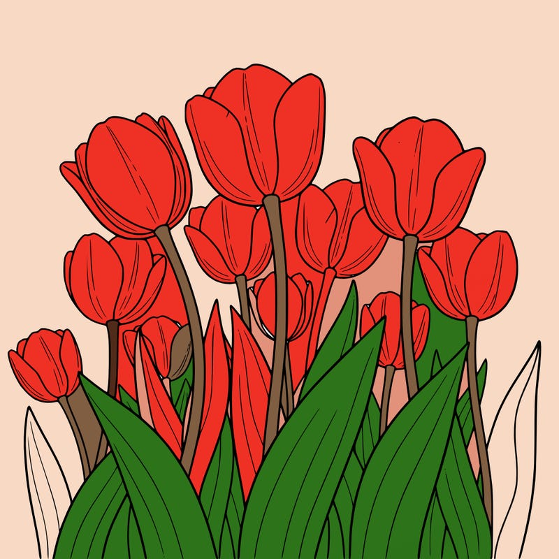 easy tulips flower