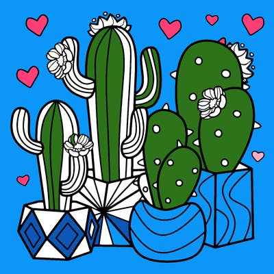 flowers_24_new