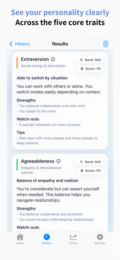 外向性や協調性などのビッグファイブ特性のスコアと分析を示す、詳細な性格評価結果。