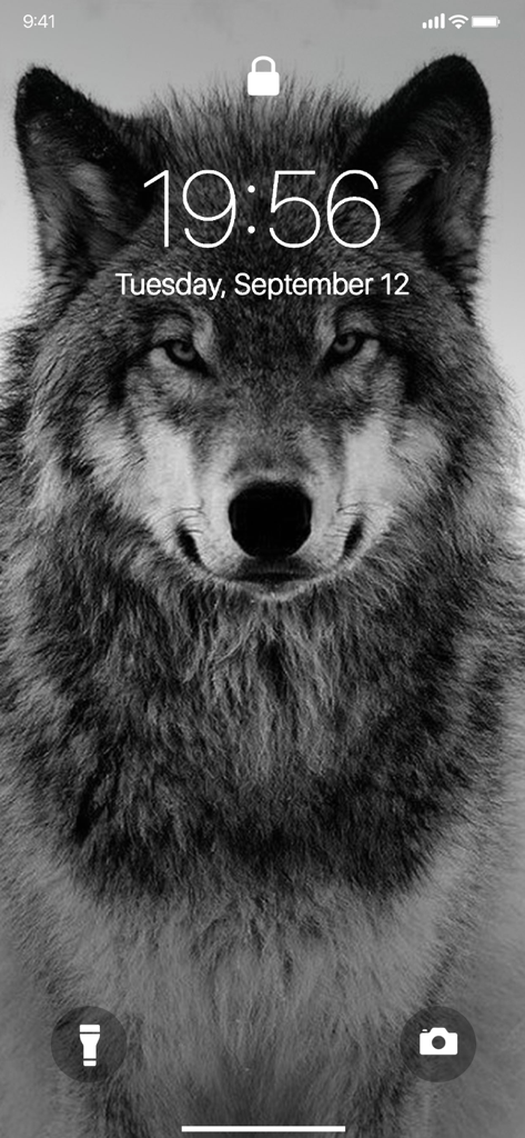 Lone Wolf Wallpapers - Black and white wolf head wallpaper on an iPhone lock screen